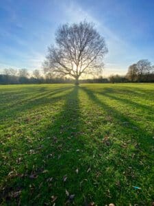 mark-fletcher-brown-ofs62_iPTJM-unsplash